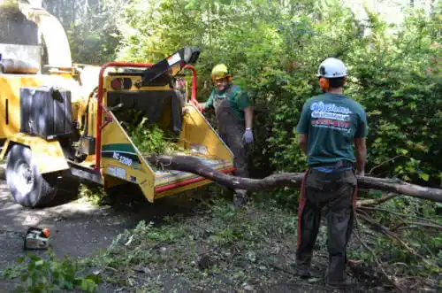 tree services Council Bluffs